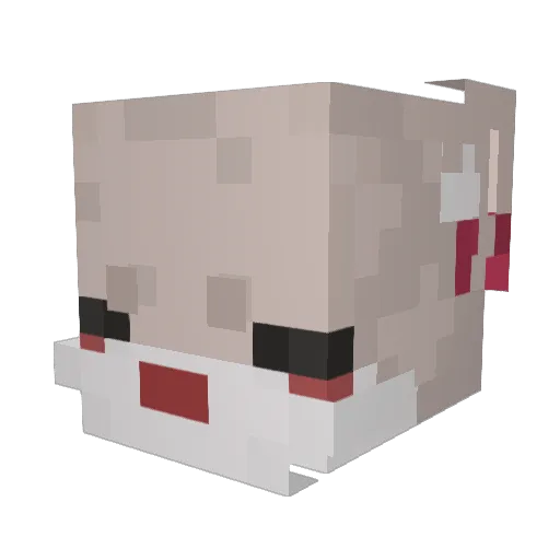 Baksie Minecraft avatar head, 3D render