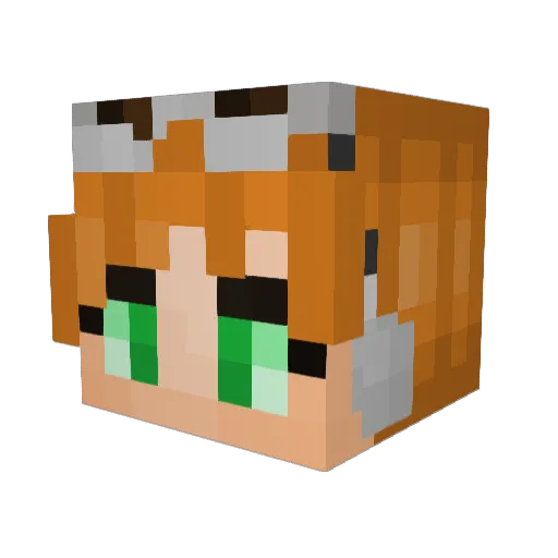 Bakuryuha96 Minecraft avatar head, 3D render