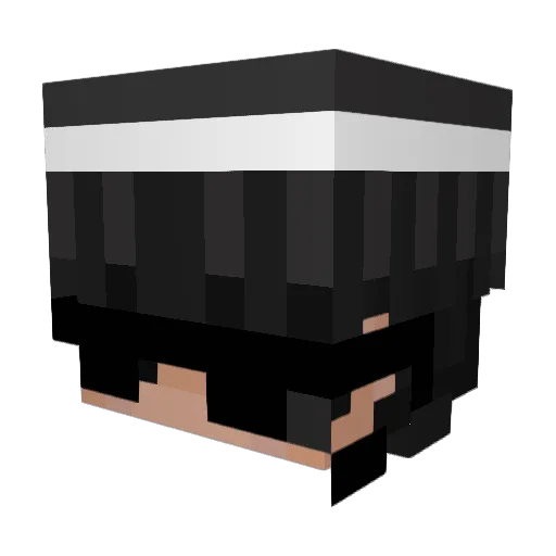 Bakus_0 Minecraft avatar head, 3D render