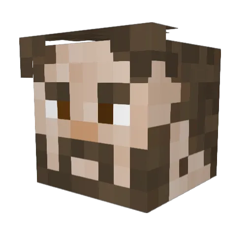 Balabil Minecraft avatar head, 3D render