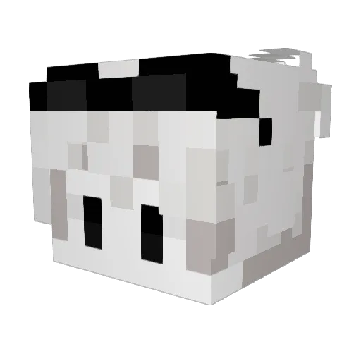 Balaizera Minecraft avatar head, 3D render