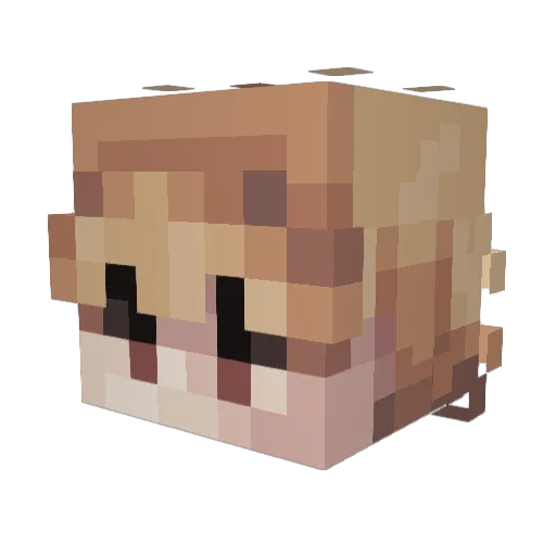 Balbinon Minecraft avatar head, 3D render