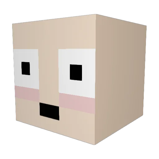 BaldAssWhiteBoy Minecraft avatar head, 3D render