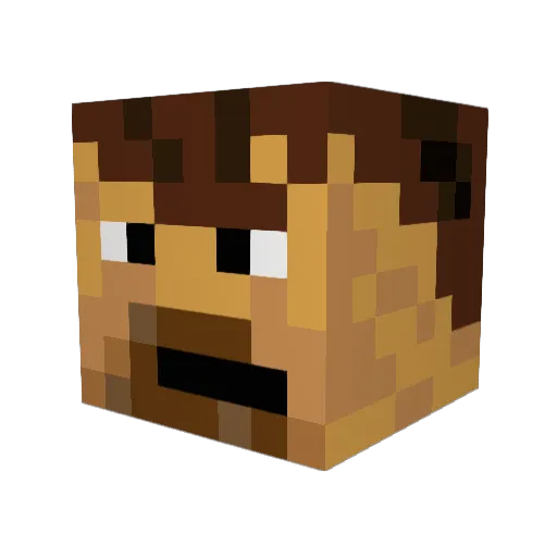 BaldCat Minecraft avatar head, 3D render