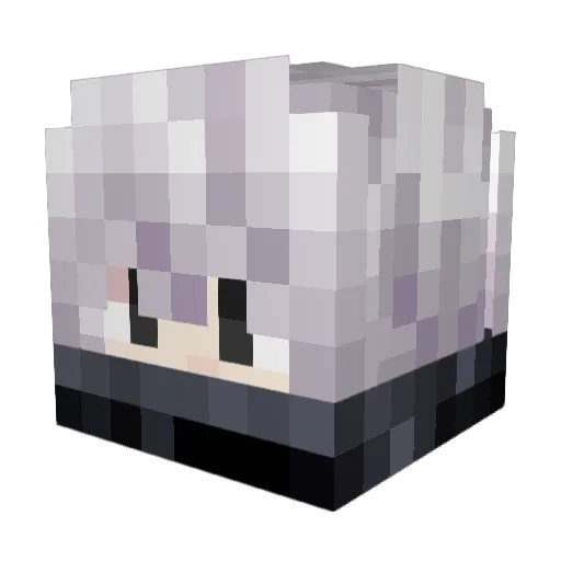 BaldTryhardAcnno Minecraft avatar head, 3D render