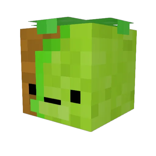 Baldaxcs Minecraft avatar head, 3D render