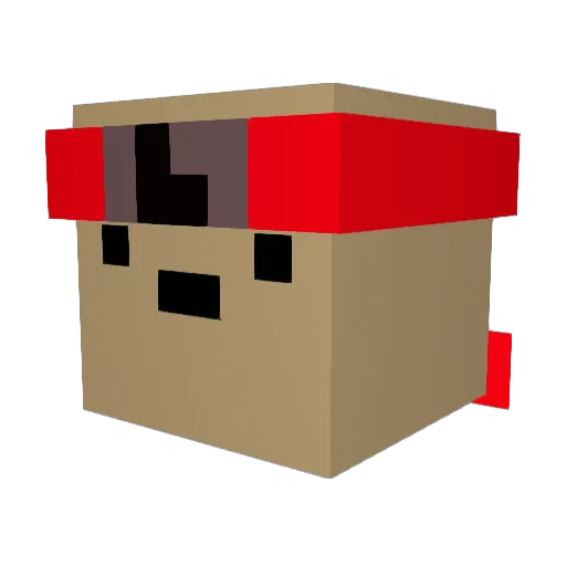 Baldheadcorgan Minecraft avatar head, 3D render