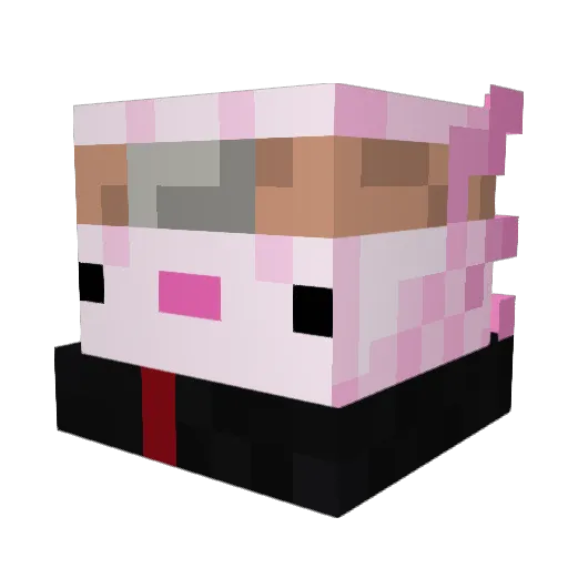 Baldicek Minecraft avatar head, 3D render