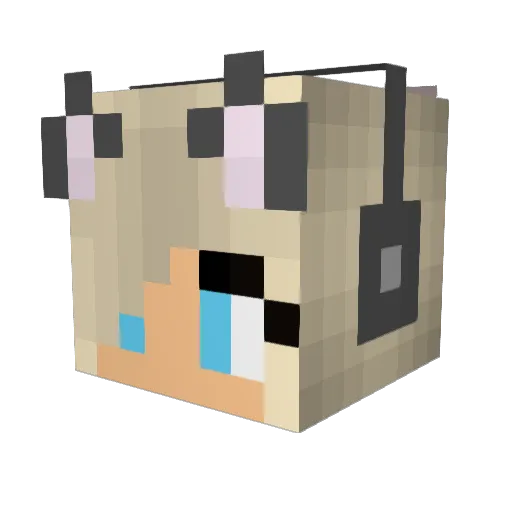 Baldrogs Minecraft avatar head, 3D render