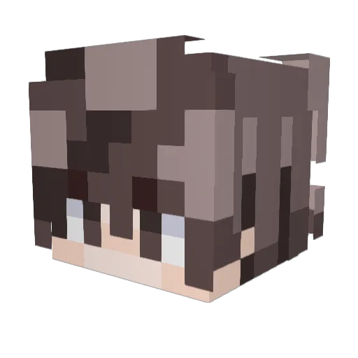 Baldur137 Minecraft avatar head, 3D render