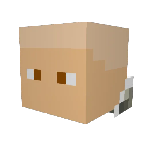 BaldyTheBold Minecraft avatar head, 3D render
