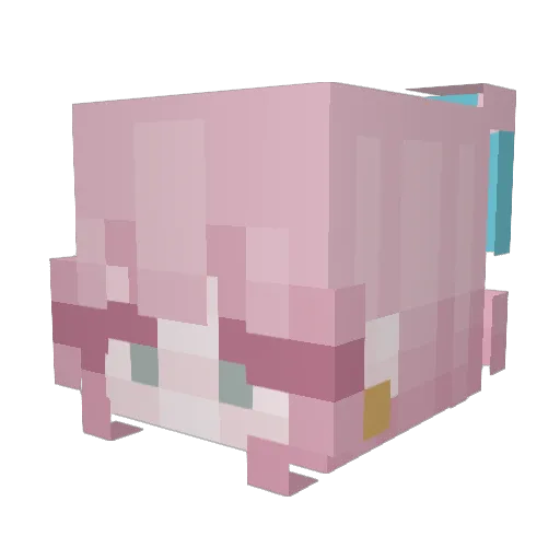 BaleBunny Minecraft avatar head, 3D render