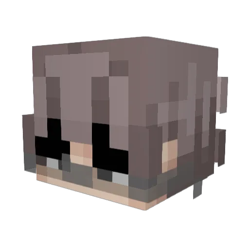 Balenci_F1nn Minecraft avatar head, 3D render