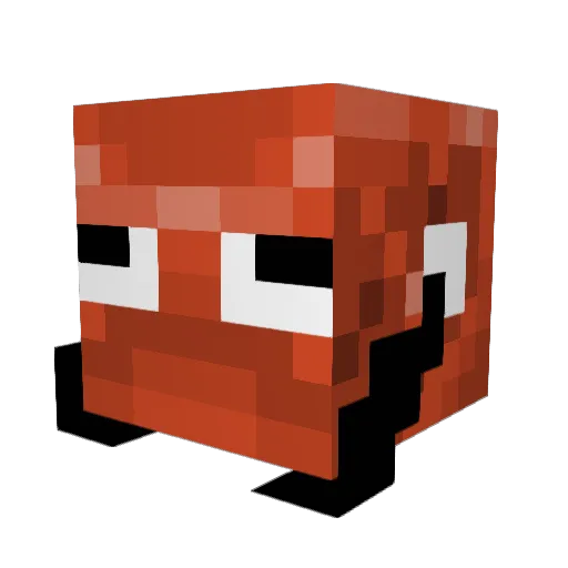 BalisticOctopus Minecraft avatar head, 3D render