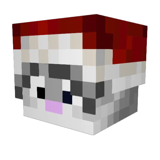 Balja_11 Minecraft avatar head, 3D render