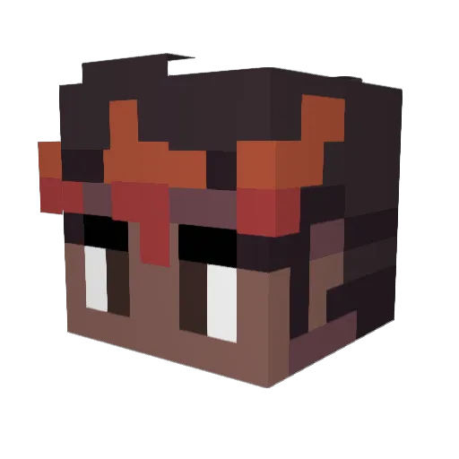 Baljeet_69 Minecraft avatar head, 3D render
