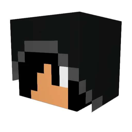 BallFondl3rs Minecraft avatar head, 3D render