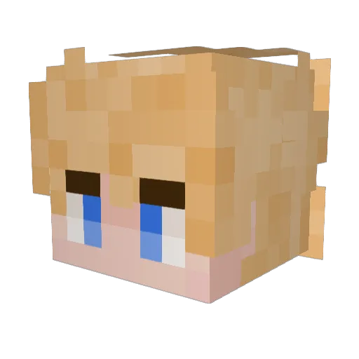 BallZ2DaWallZz Minecraft avatar head, 3D render