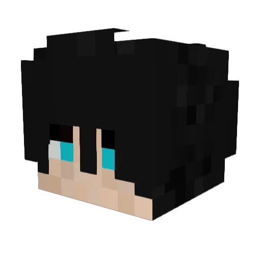 BallcatNA17 Minecraft avatar head, 3D render