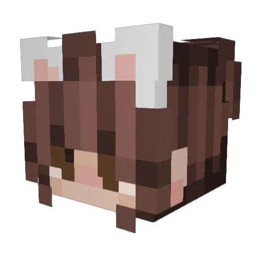 BallerBingus Minecraft avatar head, 3D render