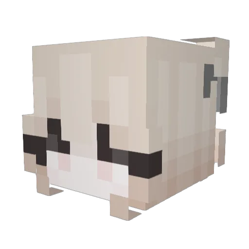 Ballertop Minecraft avatar head, 3D render