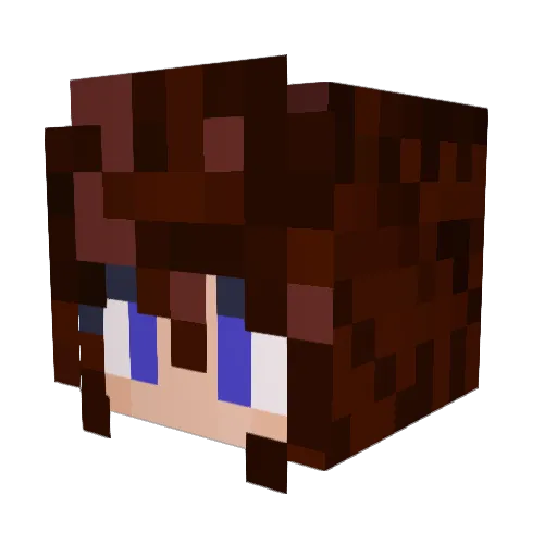 BallofBandages Minecraft avatar head, 3D render