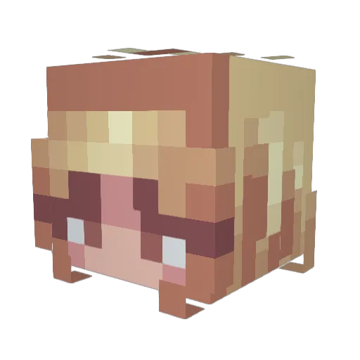 BalloonPuppy963 Minecraft avatar head, 3D render