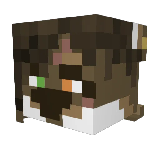 BallsAss Minecraft avatar head, 3D render