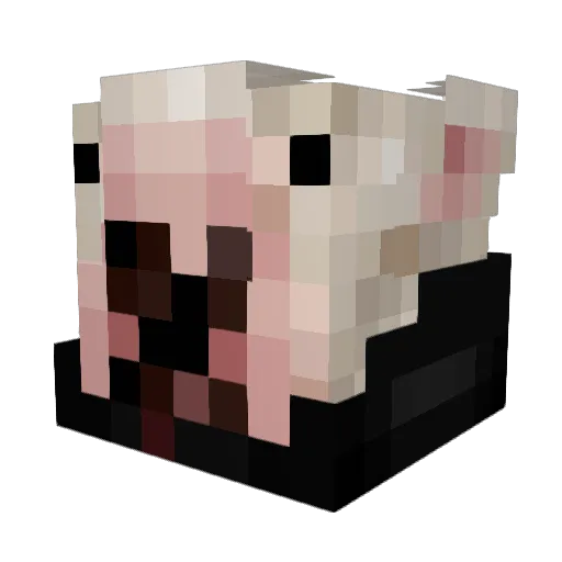 BallsBag Minecraft avatar head, 3D render