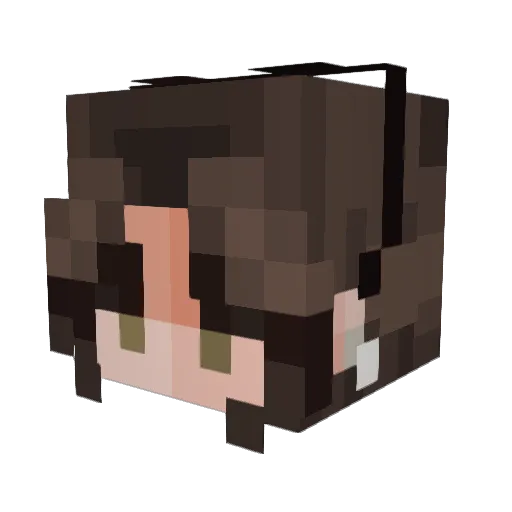 BallsMcCartney Minecraft avatar head, 3D render