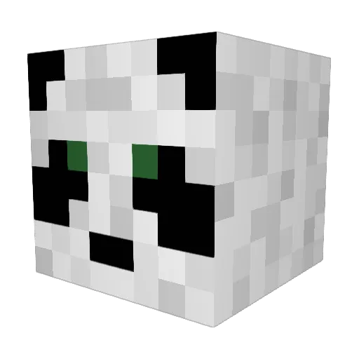 BallsOnRiceBalls Minecraft avatar head, 3D render