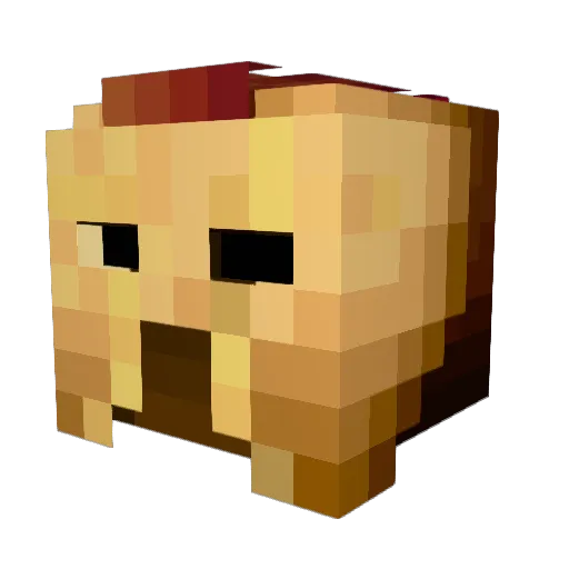 BallyTheGreat Minecraft avatar head, 3D render