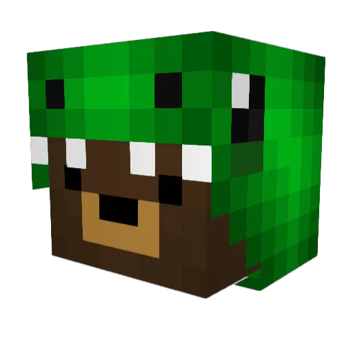 Baloo7 Minecraft avatar head, 3D render