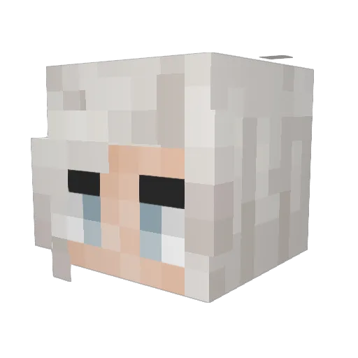Balpennetje Minecraft avatar head, 3D render