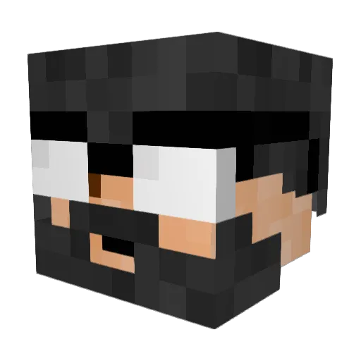 Balsace Minecraft avatar head, 3D render