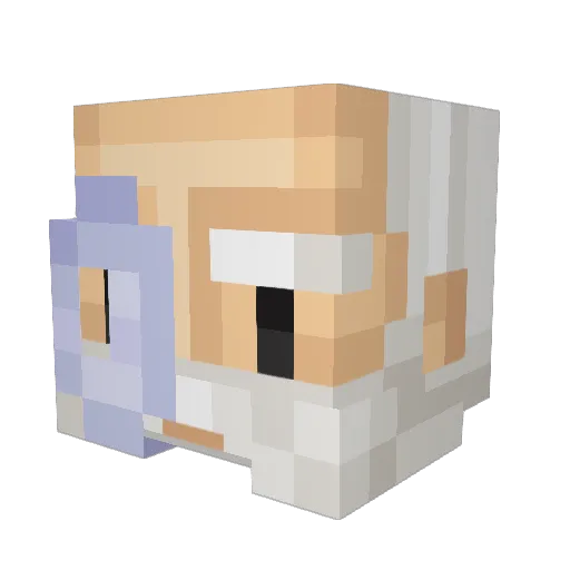 Balui Minecraft avatar head, 3D render