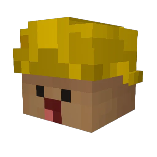 Baluuu Minecraft avatar head, 3D render