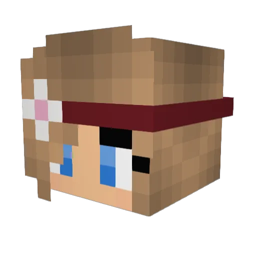 BamBam778 Minecraft avatar head, 3D render