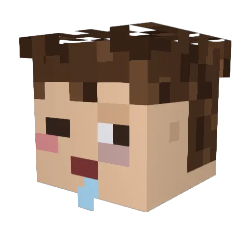 BamBoo4649 Minecraft avatar head, 3D render