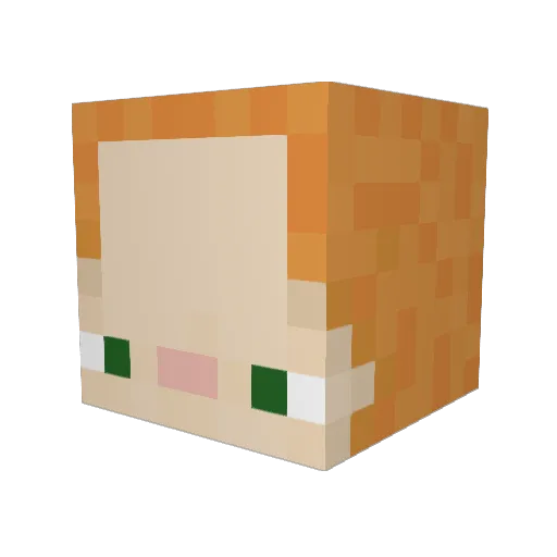 BamWam Minecraft avatar head, 3D render