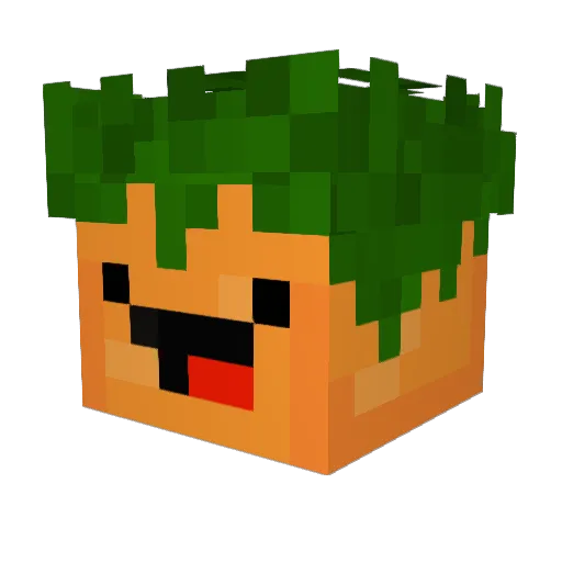 BamWheely Minecraft avatar head, 3D render