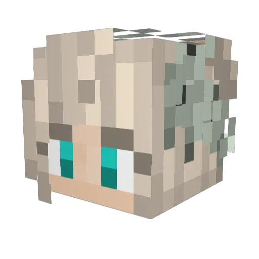 Bam_Bam_Gotie Minecraft avatar head, 3D render