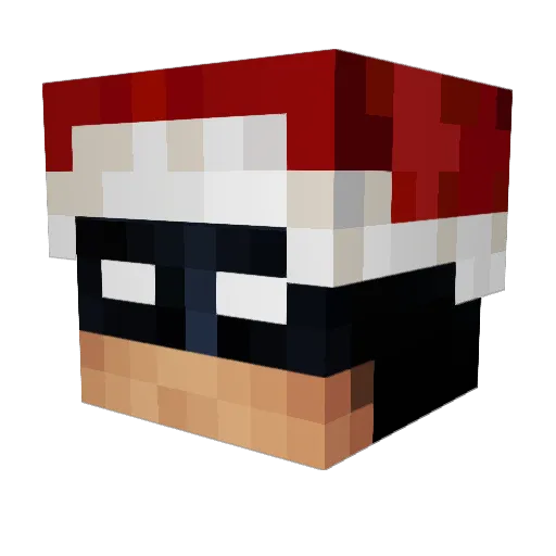 Bam_Tiller Minecraft avatar head, 3D render