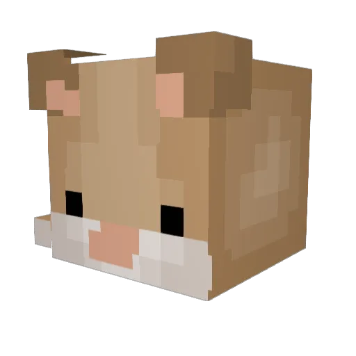 Bam_koon Minecraft avatar head, 3D render