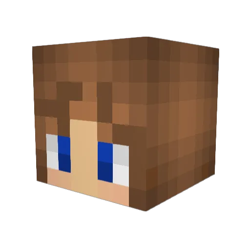 BamaRocks10 Minecraft avatar head, 3D render