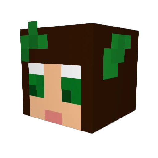 Bamabiker Minecraft avatar head, 3D render