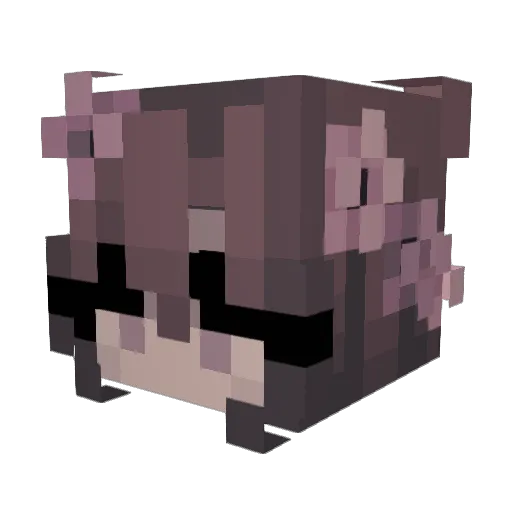 Bambi2022 Minecraft avatar head, 3D render