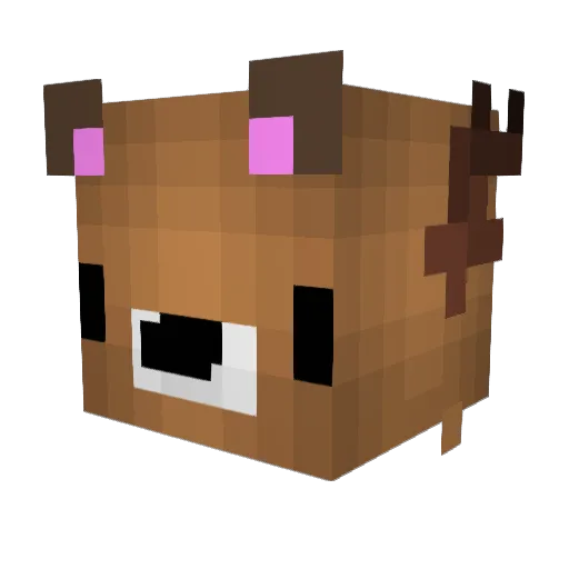 Bambi_2505 Minecraft avatar head, 3D render