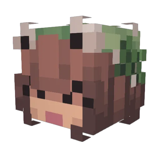 Bamblabam Minecraft avatar head, 3D render