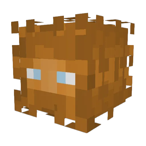 Bamboo_la Minecraft avatar head, 3D render